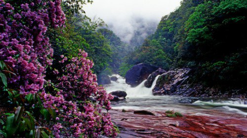 闽北苏区首府—武夷山大