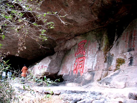 武夷山一晚二日全景游（风景区全景点）