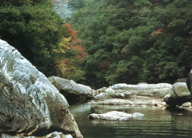 武夷山国家自然保护区